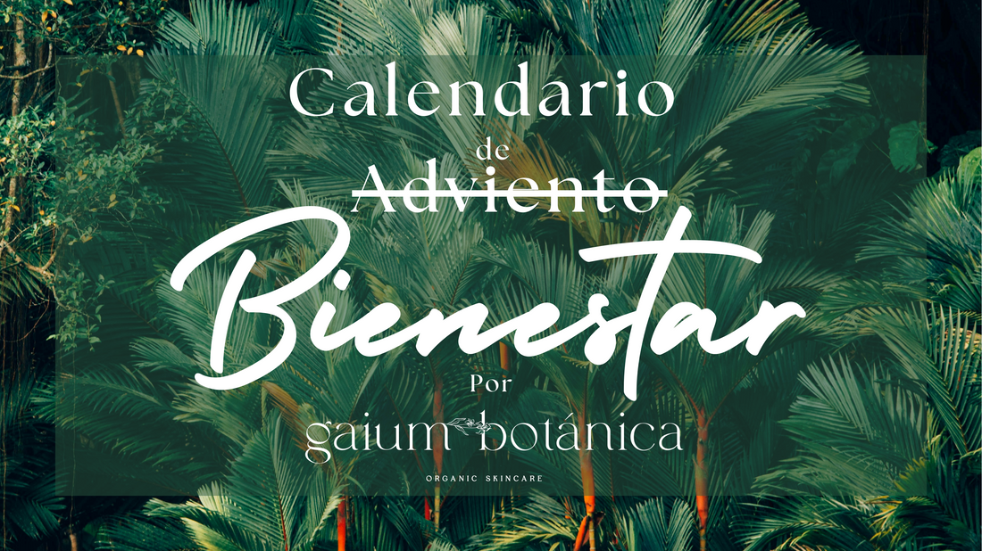 Calendario de "Adviento" Bienestar 🌞
