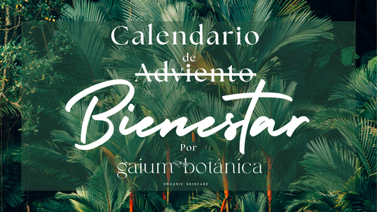 Calendario de "Adviento" Bienestar 🌞